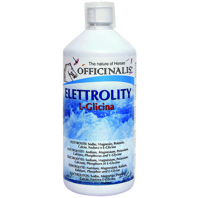 Officinalis Elettrolity L-glicina - velocemente assorbibili per il reintegro di acqua e sali minerali persi con il sudore 1kg