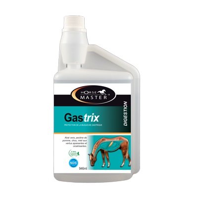 Horse Master Gastrix - per cavalli soggetti ad ulcera gastrica