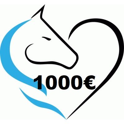 Lso Buono regalo 1000 euro