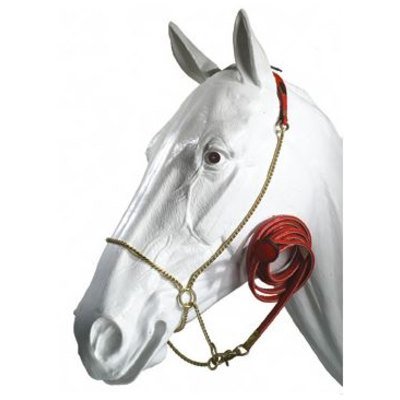 Pioneer Cavezzina da presentazione per cavalli arabi con catena a maniglia e lunghina in pelle con rinforzo interno in nylon
