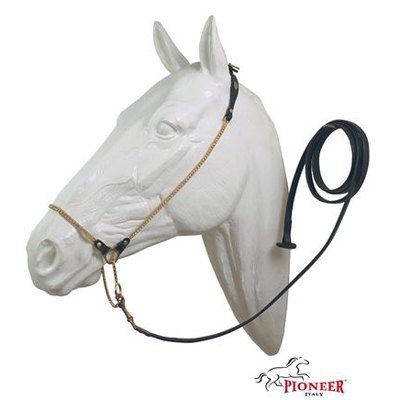 Pioneer Cavezzina da presentazione per cavalli arabi con catena in ottone + swarovski e lunghina in pelle con rinforzo interno in nylon