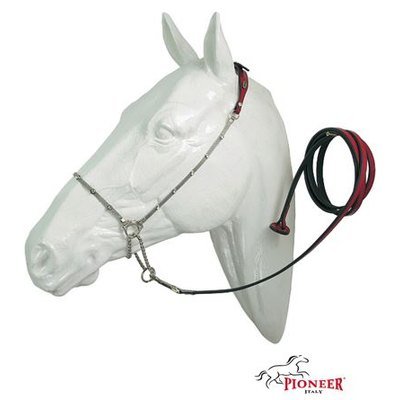 Pioneer Cavezzina per presentazione per cavalli arabi con catena in ottone piatta + swarovski e lunghina in pelle con rinforzo interno in nylon