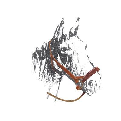 Lakota Capezza maremmana artigianale in cuoio completa con lunghina in corda