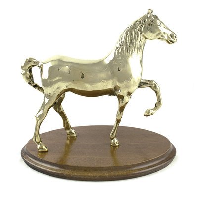 Umbria Equitazione Trofeo cavallo in ottone con base in legno