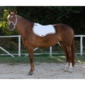 Equestro Sottosella sagomato Equestro Elegance collection