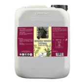 Union Bio Green wash derma shampoo delicato per cavalli