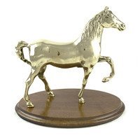 Trofeo cavallo in ottone con base in legno